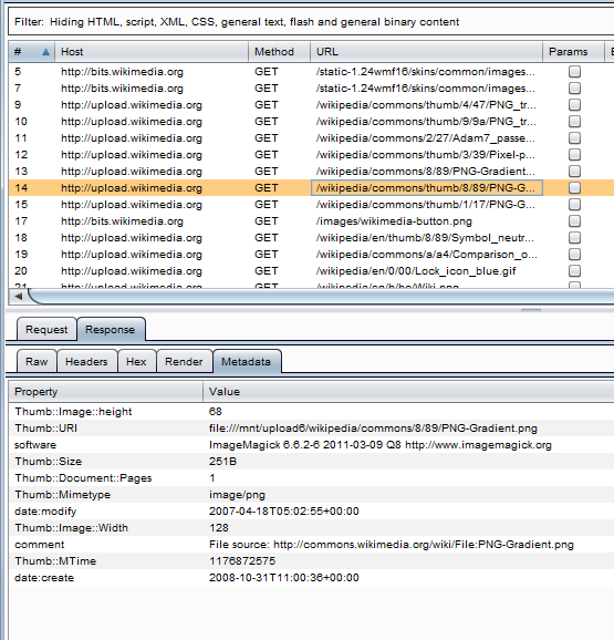 Image Metadata Burp plugin