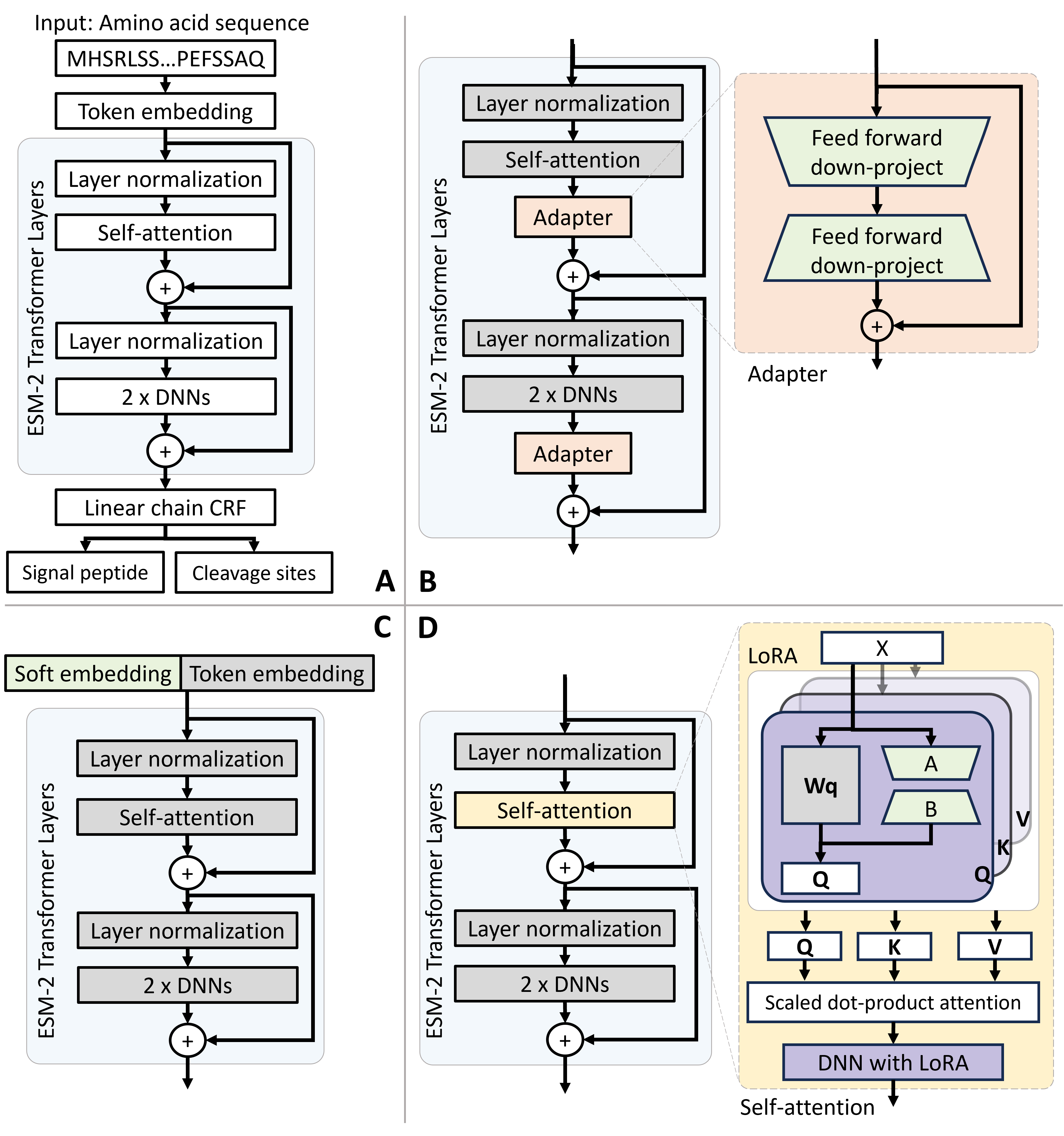 PEFT-SP model